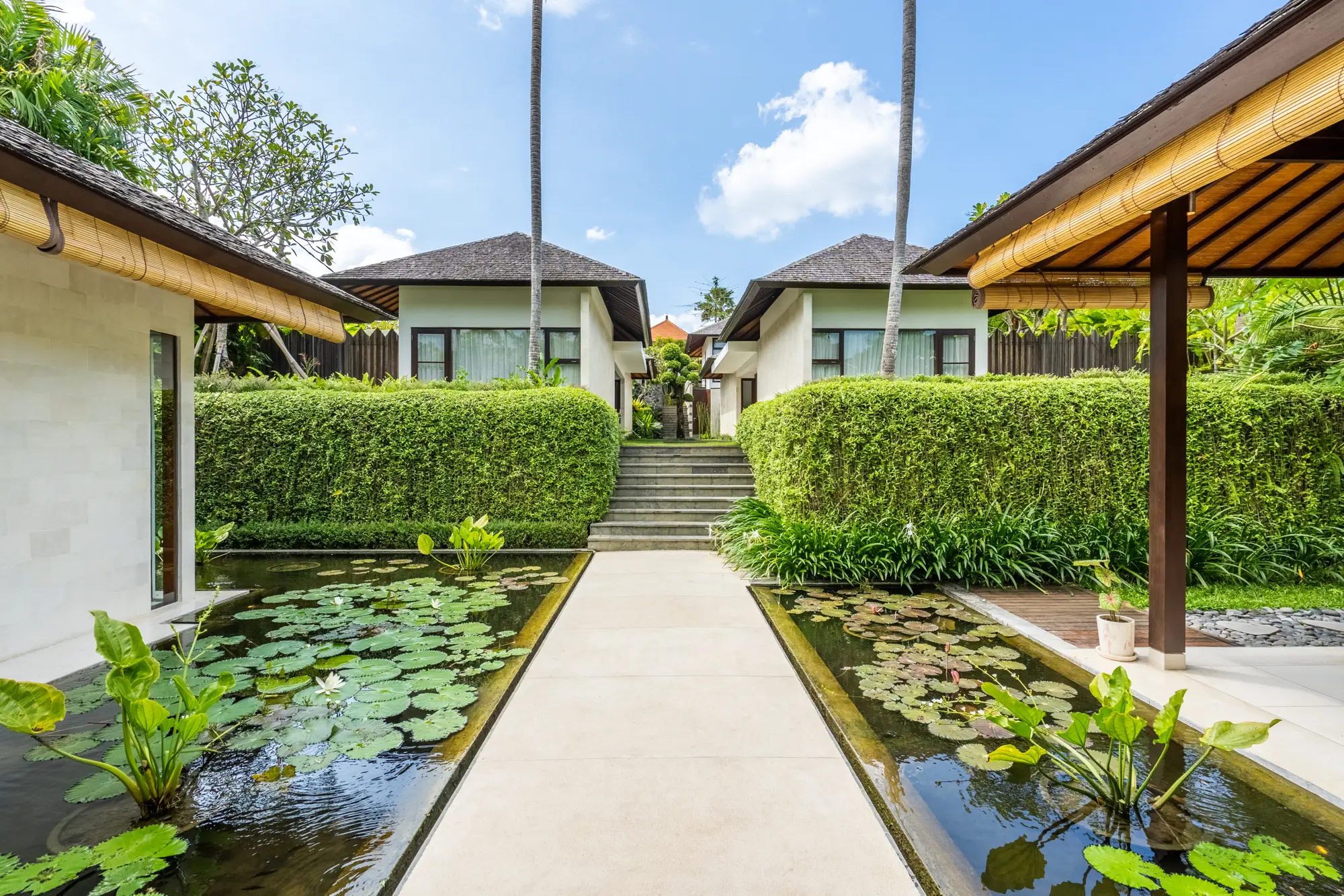 Steps and a walkway between the lotus ponds