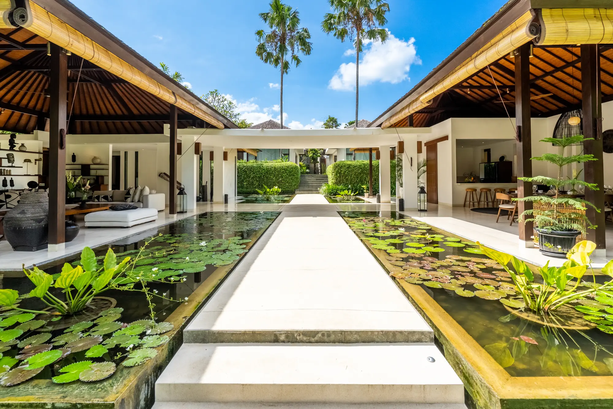 A white walkway crossing the lotus ponds